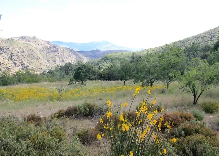 Cortijo El Tesoro 公寓