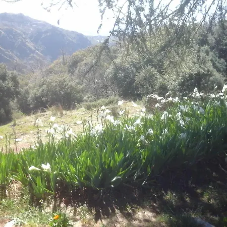 Appartement Cortijo El Tesoro Busquístar